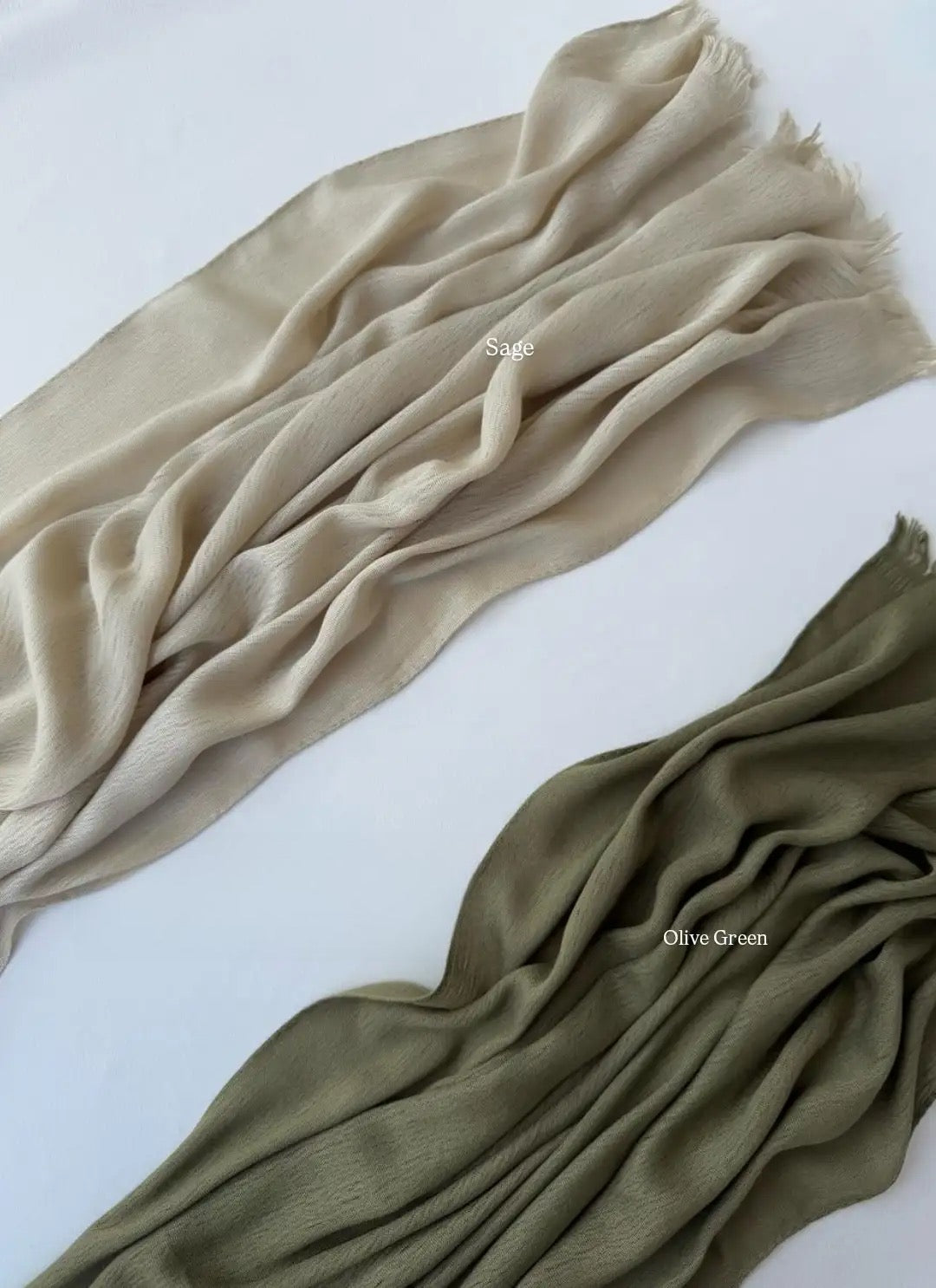 Sponge - Olive Green